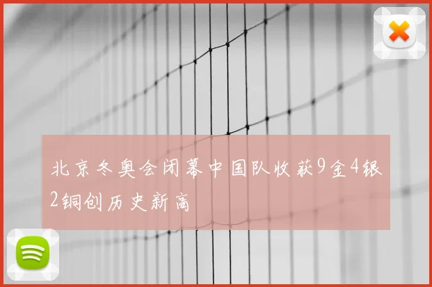 北京冬奥会闭幕中国队收获9金4银2铜创历史新高