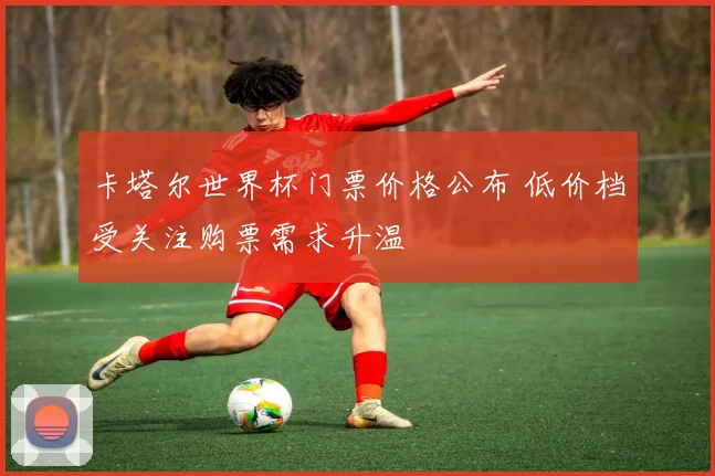卡塔尔世界杯门票价格公布 低价档受关注购票需求升温