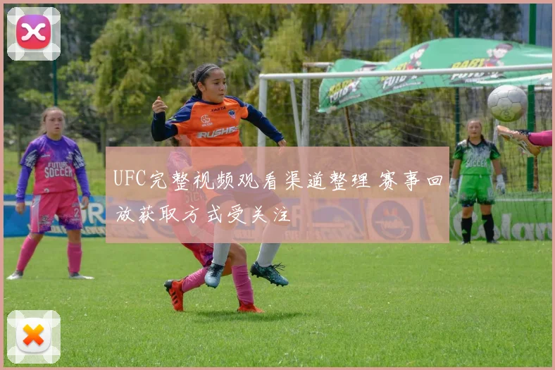 UFC完整视频观看渠道整理 赛事回放获取方式受关注